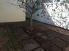 Property For Rent in Sunningdale, Cape Town