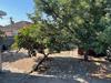 Property For Sale in Avondale, Parow