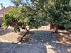 Property For Sale in Avondale, Parow